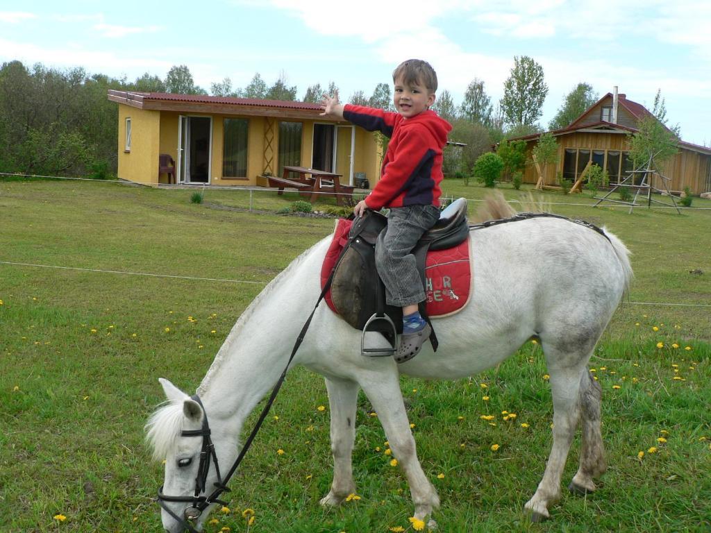 Guest House Podnieki Вентспилс Стая снимка