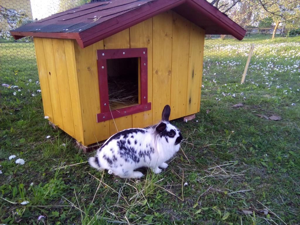 Guest House Podnieki Вентспилс Екстериор снимка